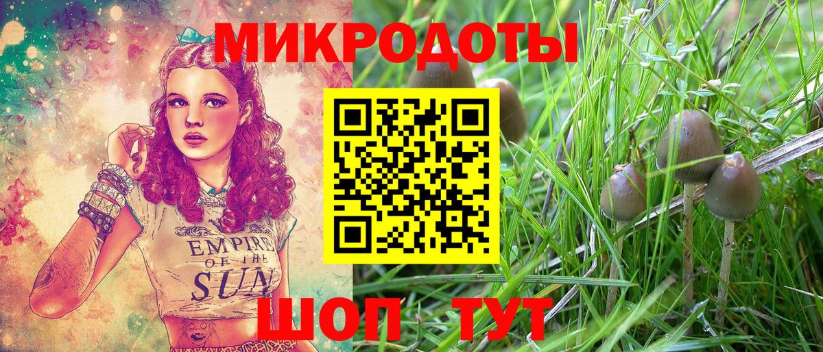 Уссурийск  Галлюциногенные грибы Psilocybe  Псилоцибиновые грибы прущие грибы  Вход с VPN 
