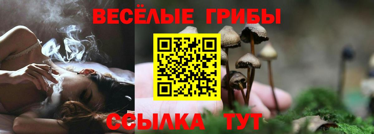 Псилоцибиновые грибы Psilocybine cubensis Уссурийск